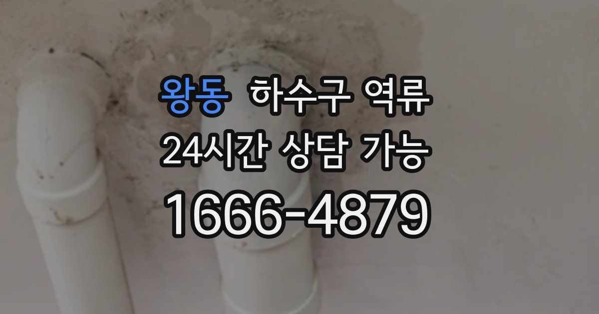 왕동 하수구 역류