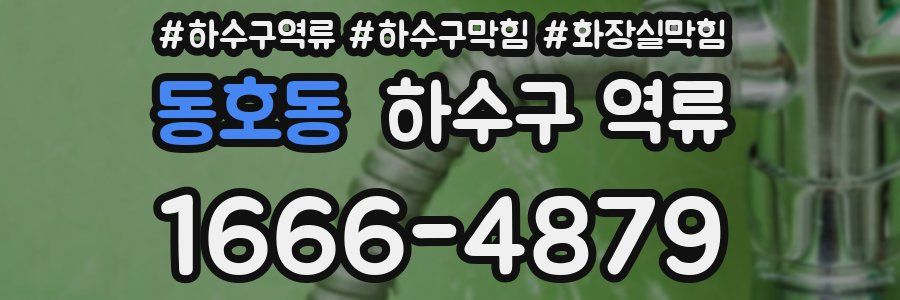 동호동 하수구 역류