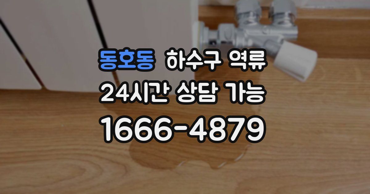 동호동 하수구 역류