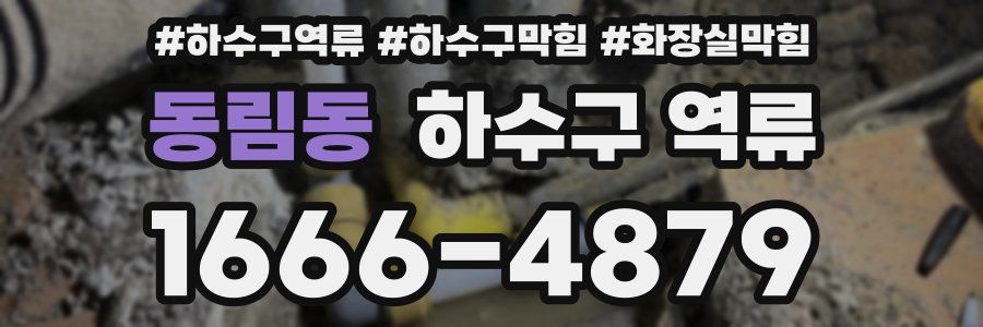 동림동 하수구 역류