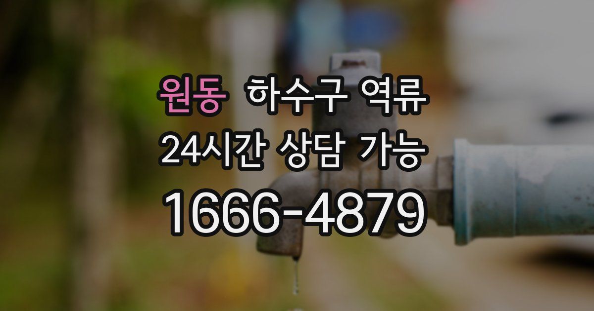 원동 하수구 역류