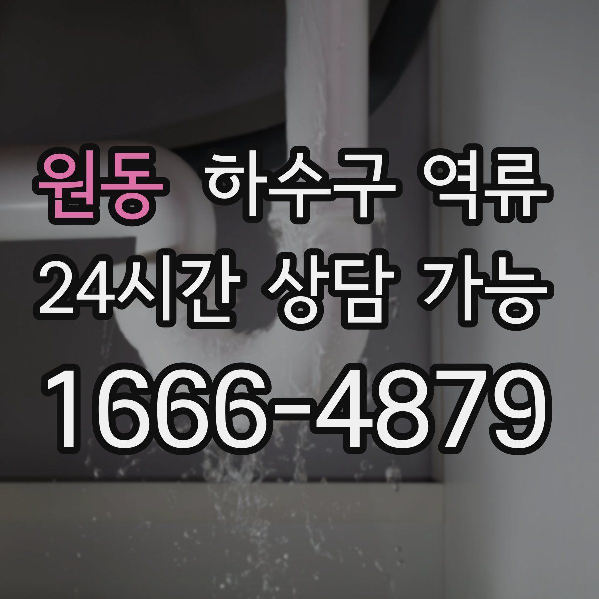 원동 하수구 역류