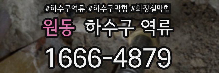 원동 하수구 역류