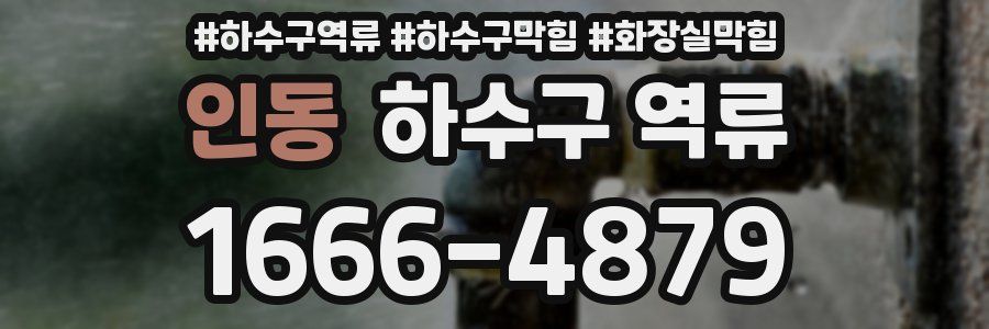 인동 하수구 역류