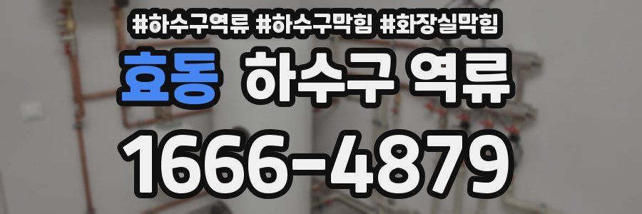 효동 하수구 역류