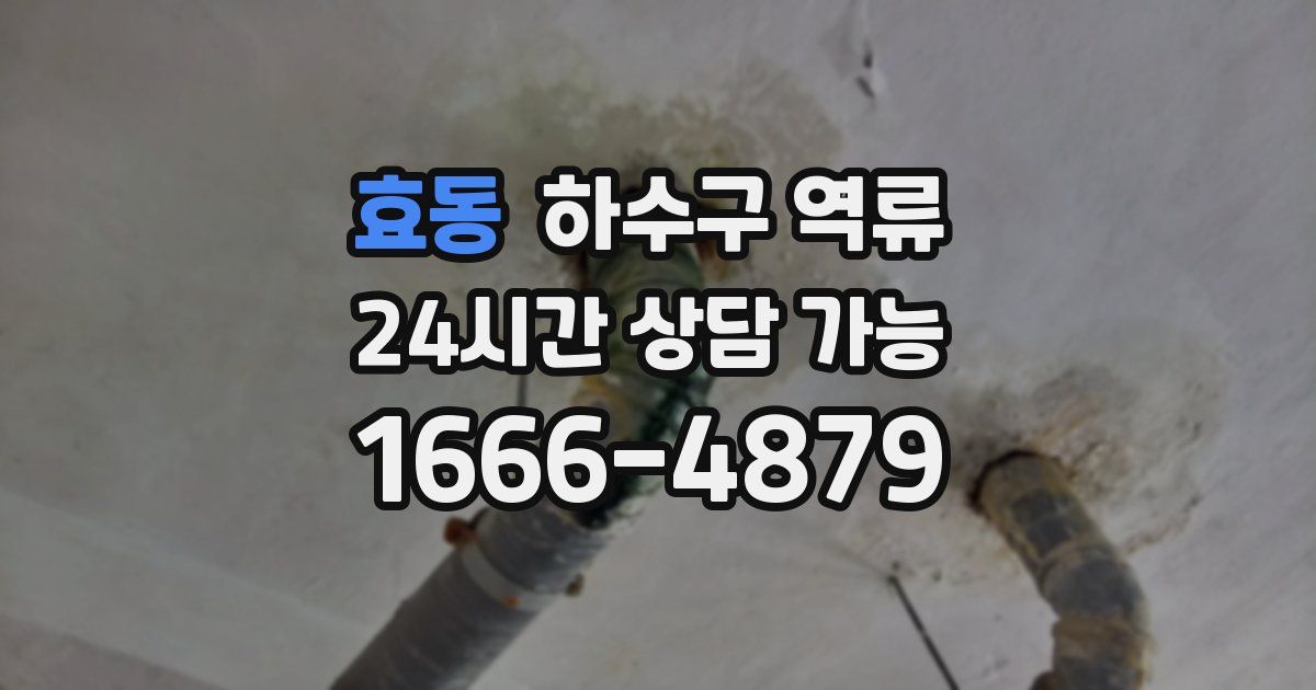효동 하수구 역류