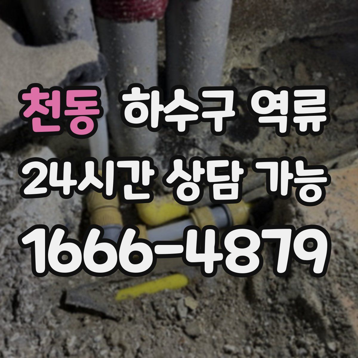 천동 하수구 역류