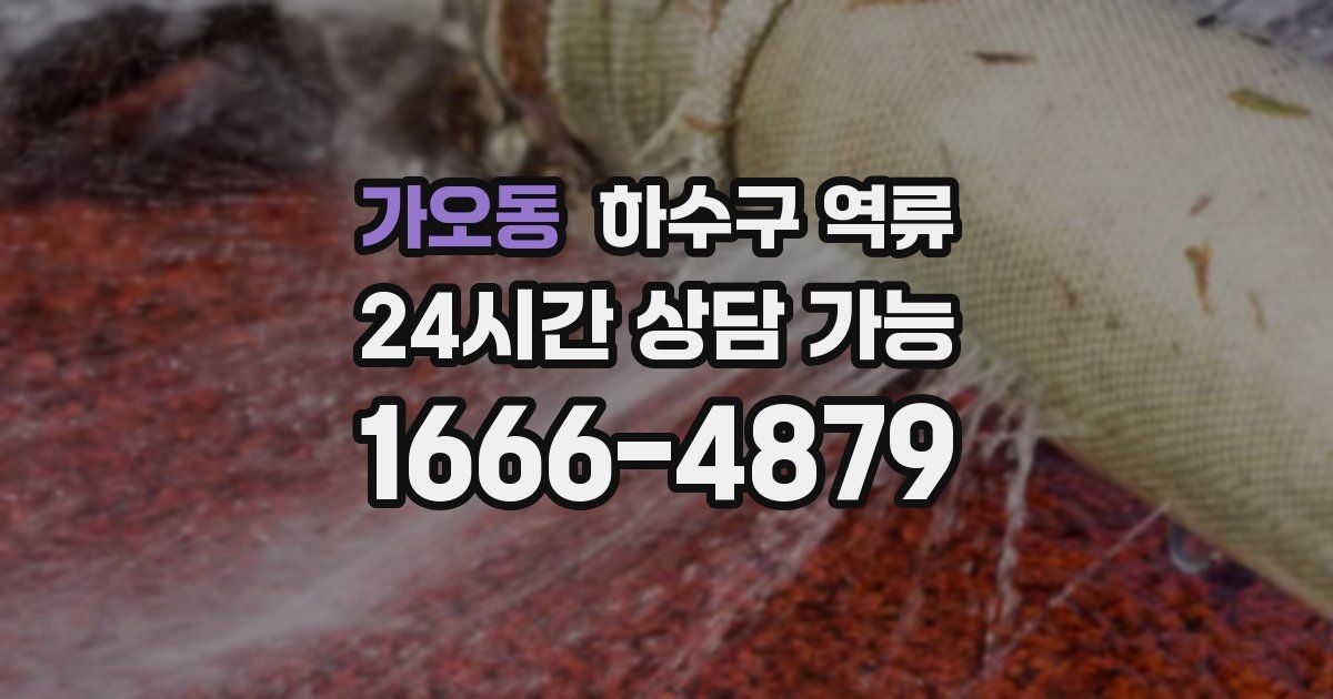 가오동 하수구 역류