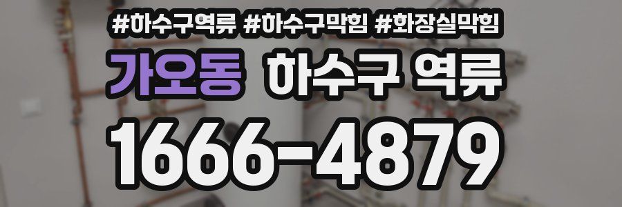 가오동 하수구 역류