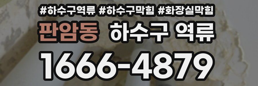 판암동 하수구 역류