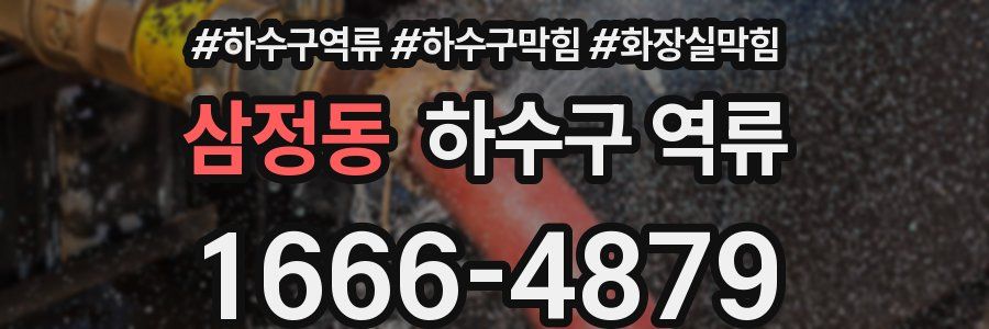 삼정동 하수구 역류