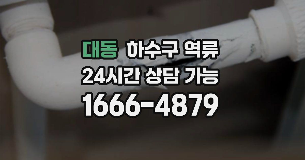 대동 하수구 역류