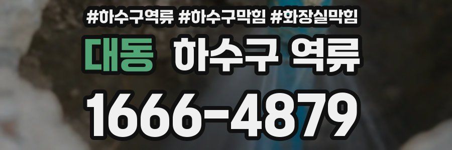 대동 하수구 역류