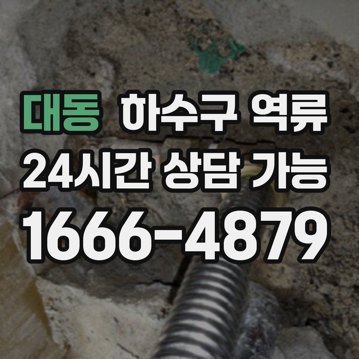 대동 하수구 역류