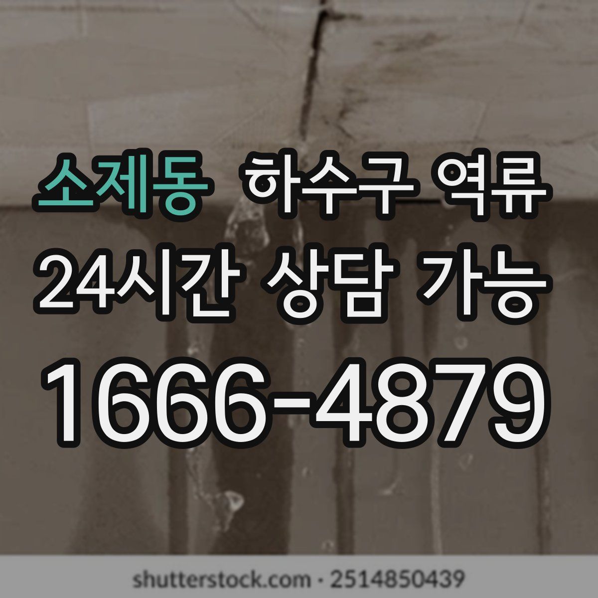 소제동 하수구 역류