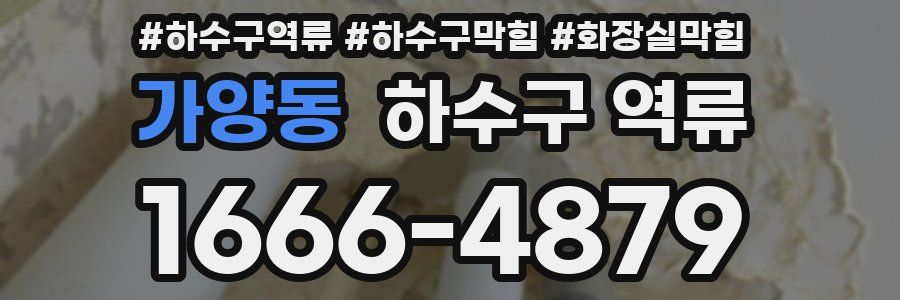 가양동 하수구 역류