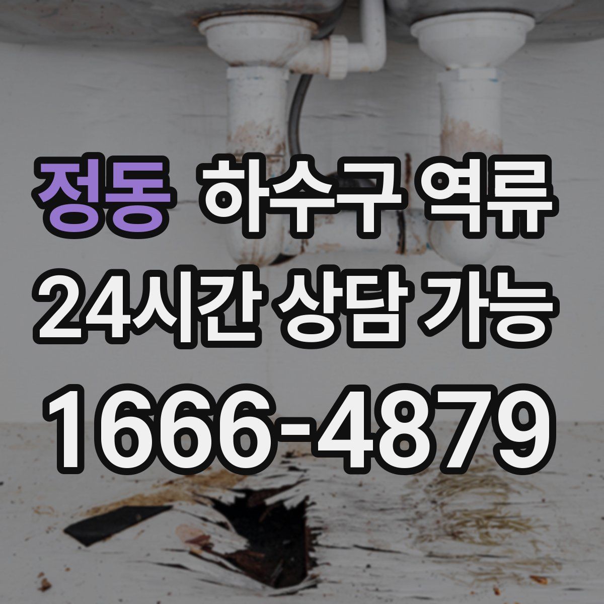 정동 하수구 역류