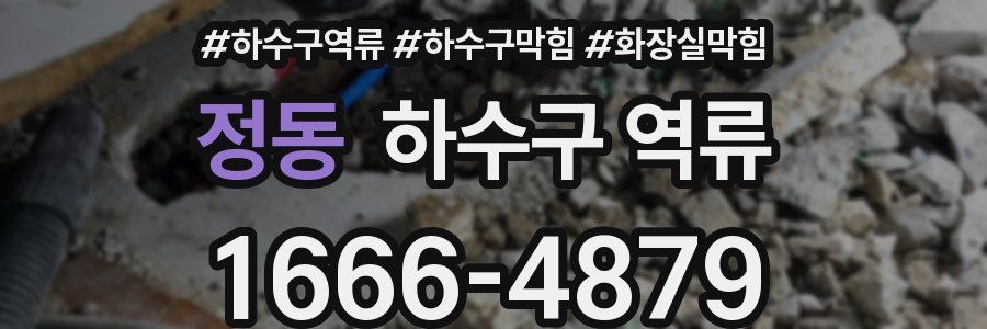 정동 하수구 역류