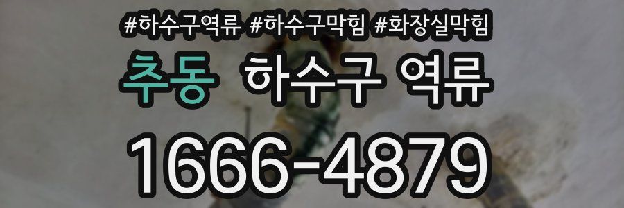 추동 하수구 역류