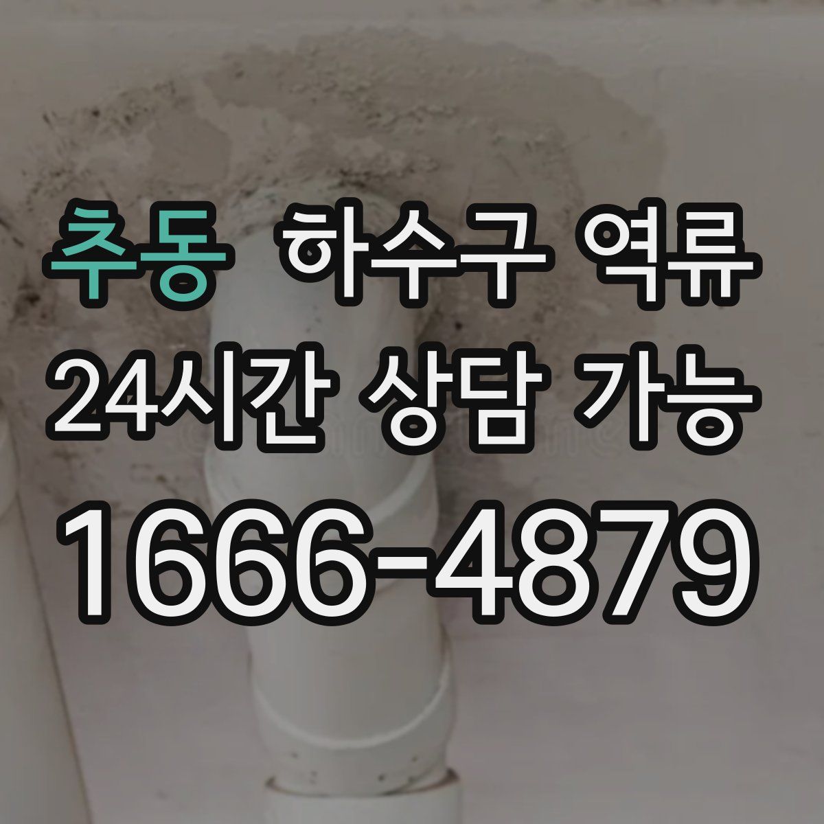 추동 하수구 역류