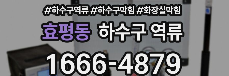 효평동 하수구 역류