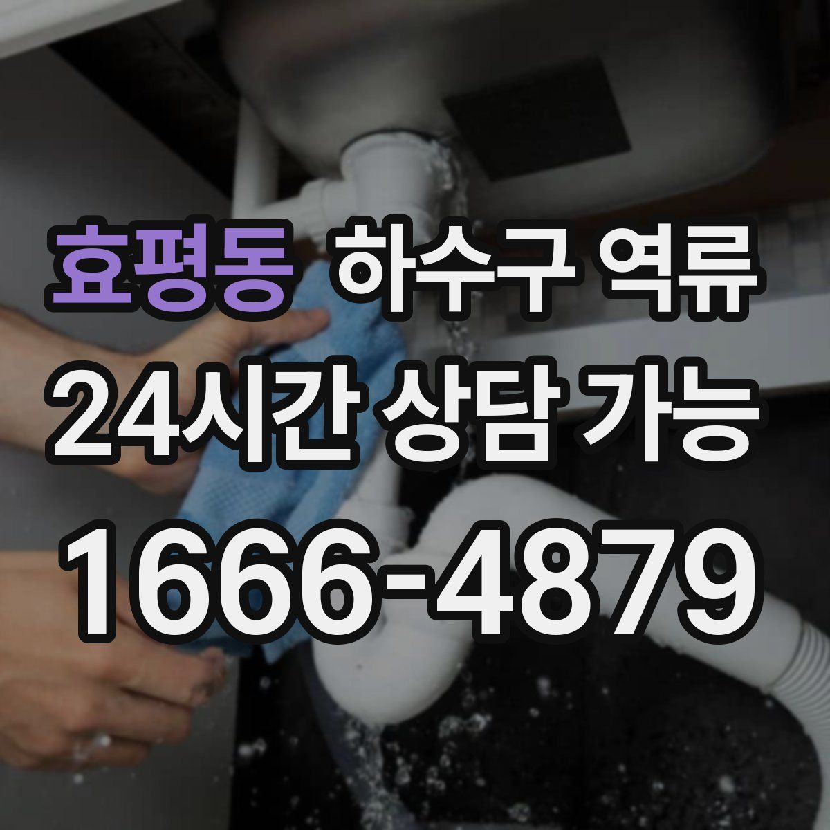 효평동 하수구 역류