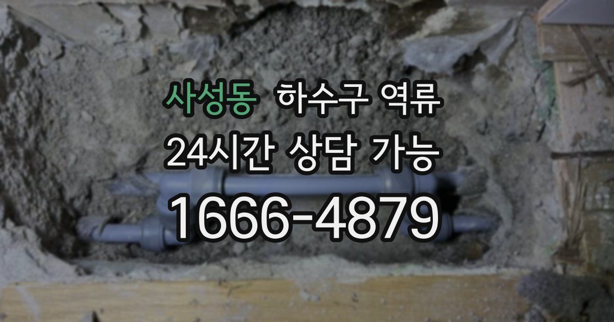 사성동 하수구 역류