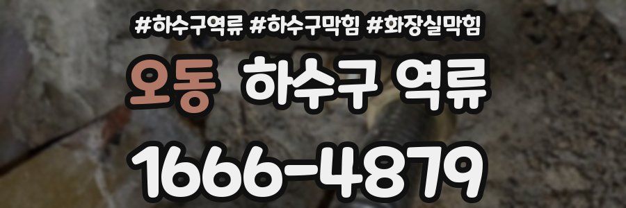 오동 하수구 역류