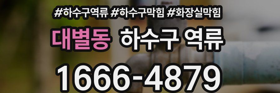 대별동 하수구 역류