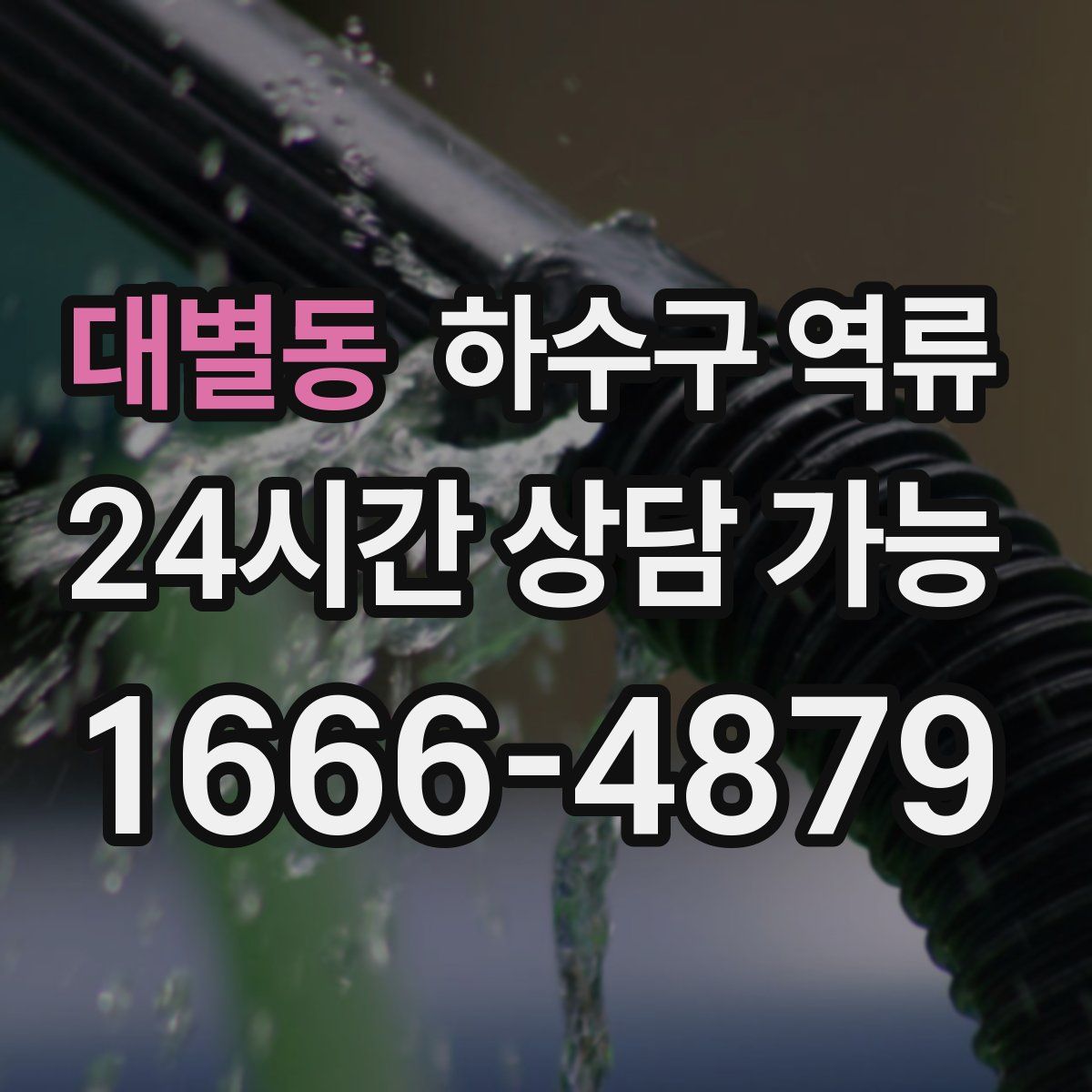 대별동 하수구 역류