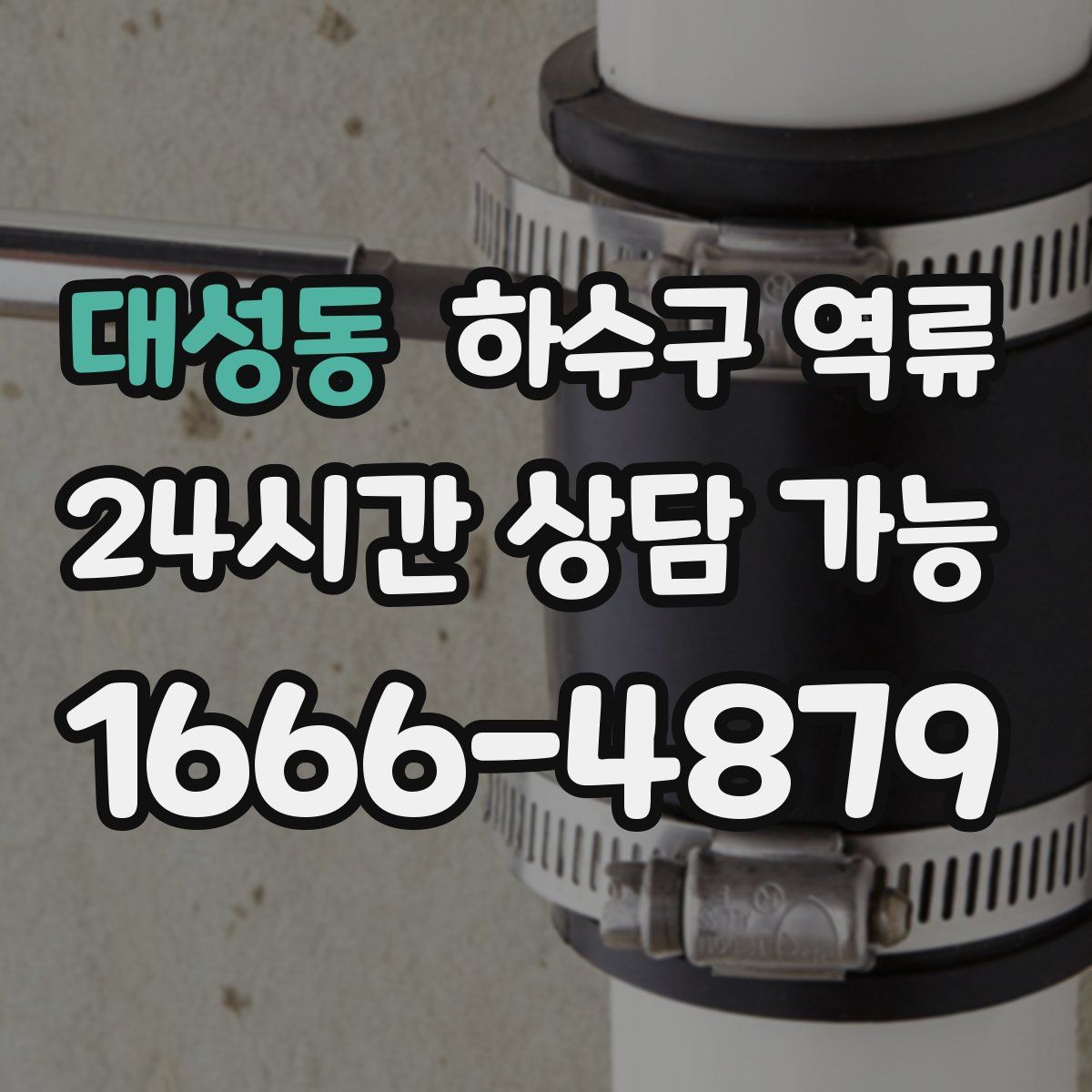 대성동 하수구 역류