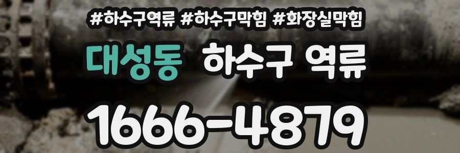 대성동 하수구 역류