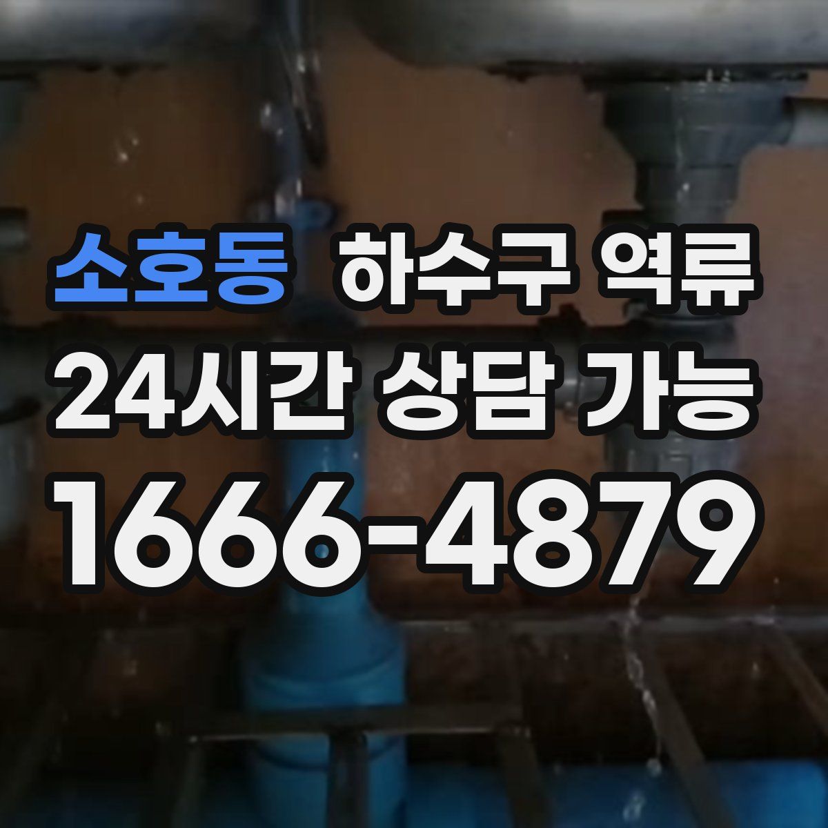 소호동 하수구 역류