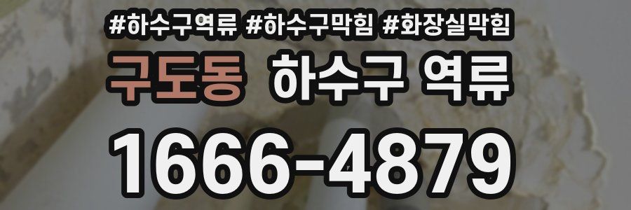 구도동 하수구 역류