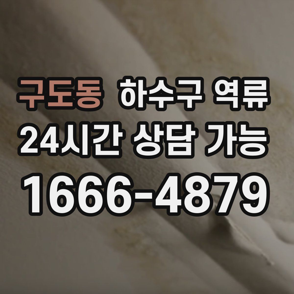 구도동 하수구 역류