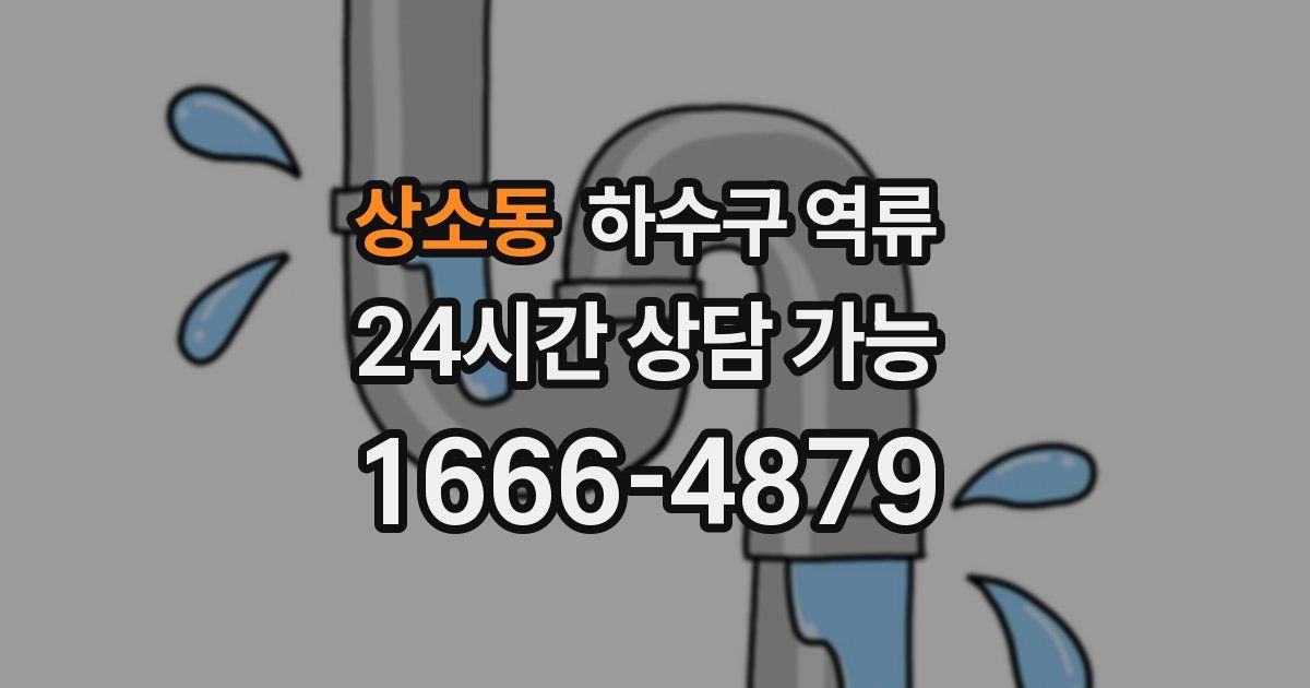 상소동 하수구 역류