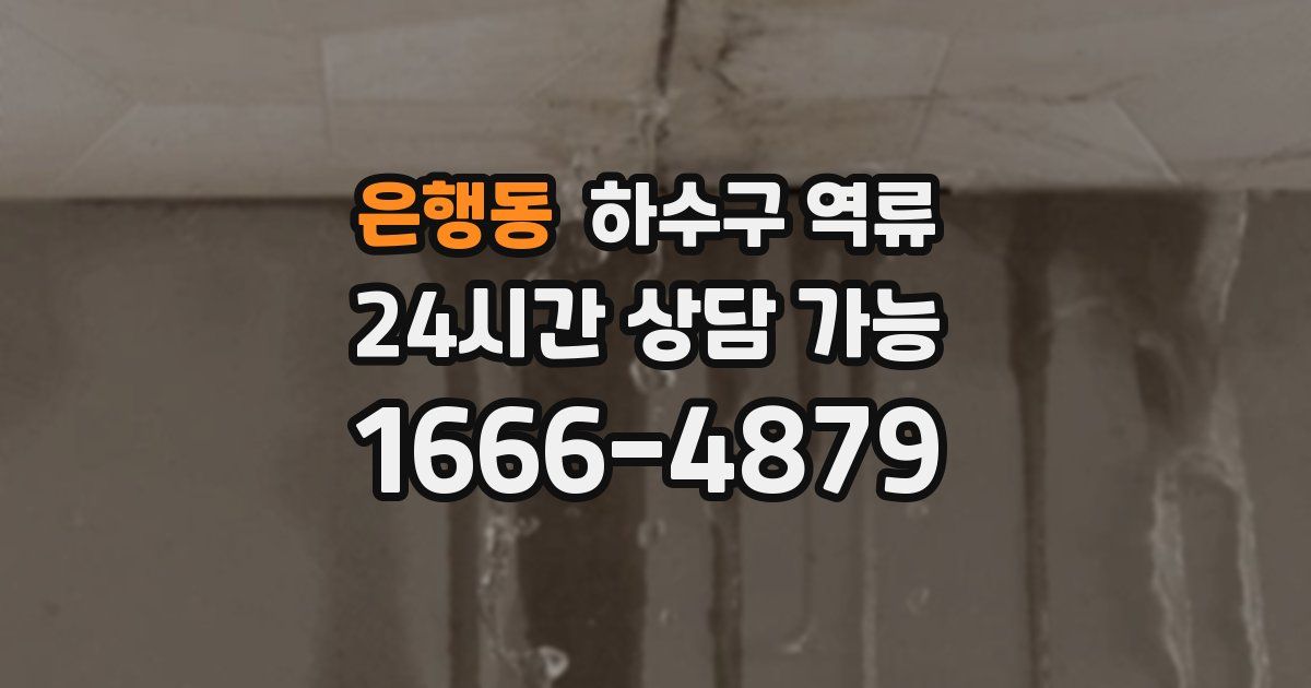 은행동 하수구 역류