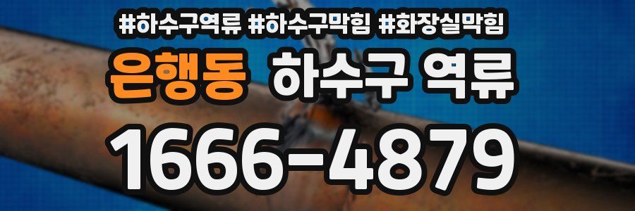 은행동 하수구 역류