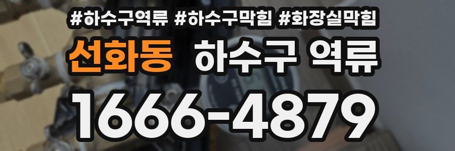 선화동 하수구 역류