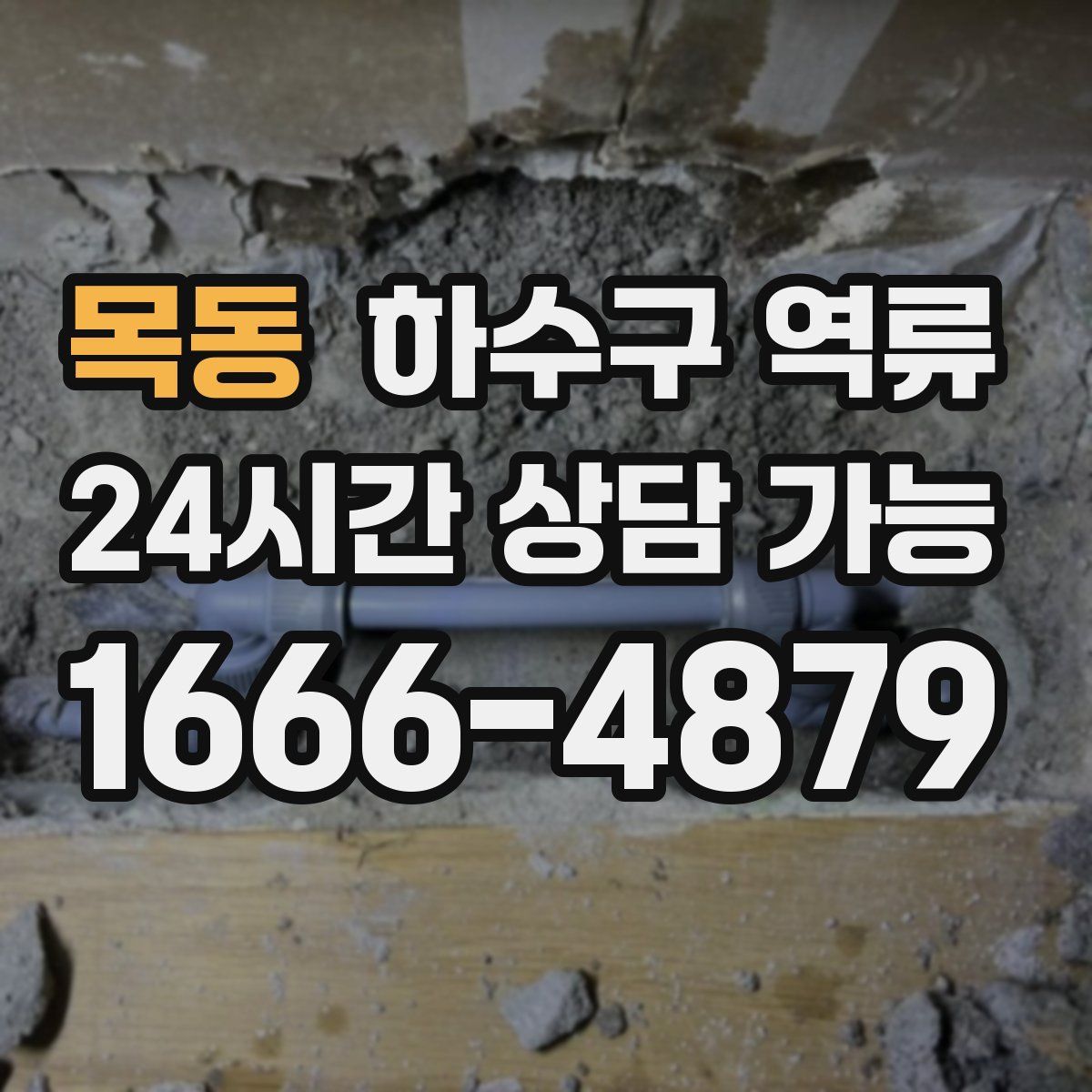 목동 하수구 역류