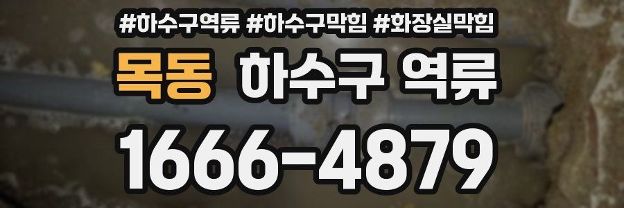 목동 하수구 역류