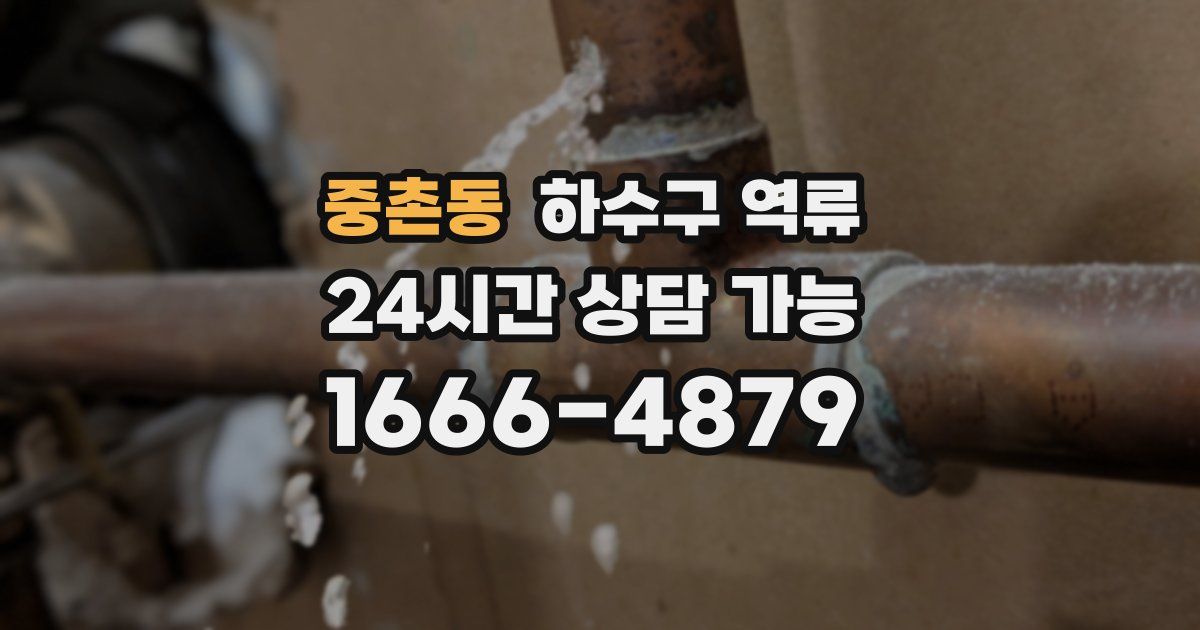 중촌동 하수구 역류