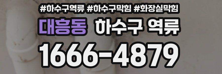 대흥동 하수구 역류