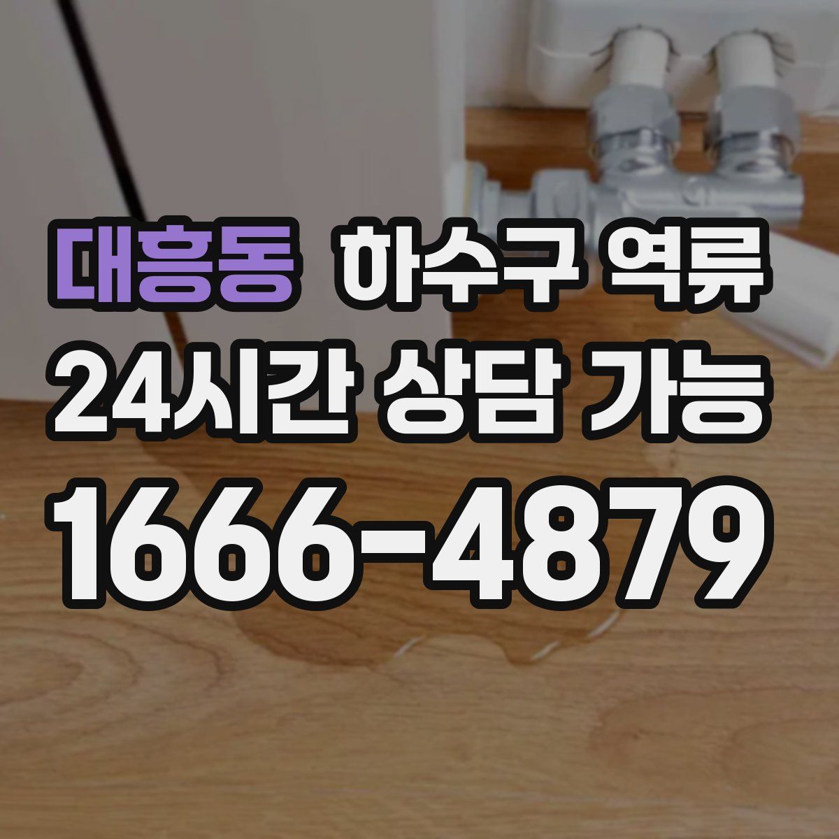 대흥동 하수구 역류