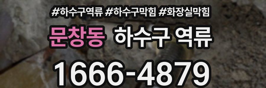 문창동 하수구 역류