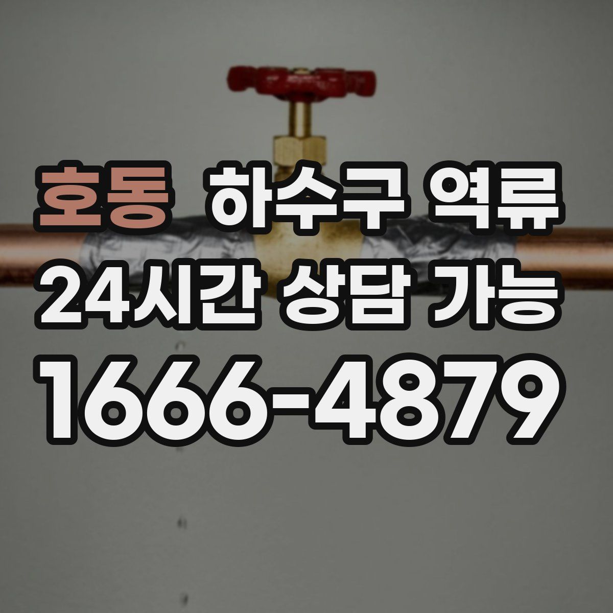 호동 하수구 역류