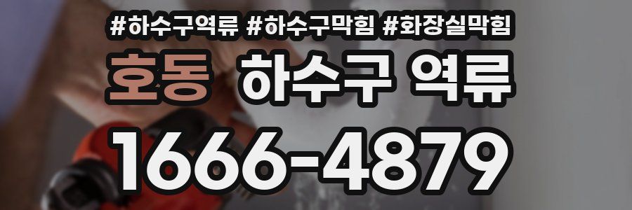 호동 하수구 역류