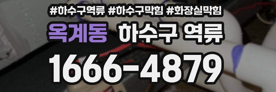 옥계동 하수구 역류