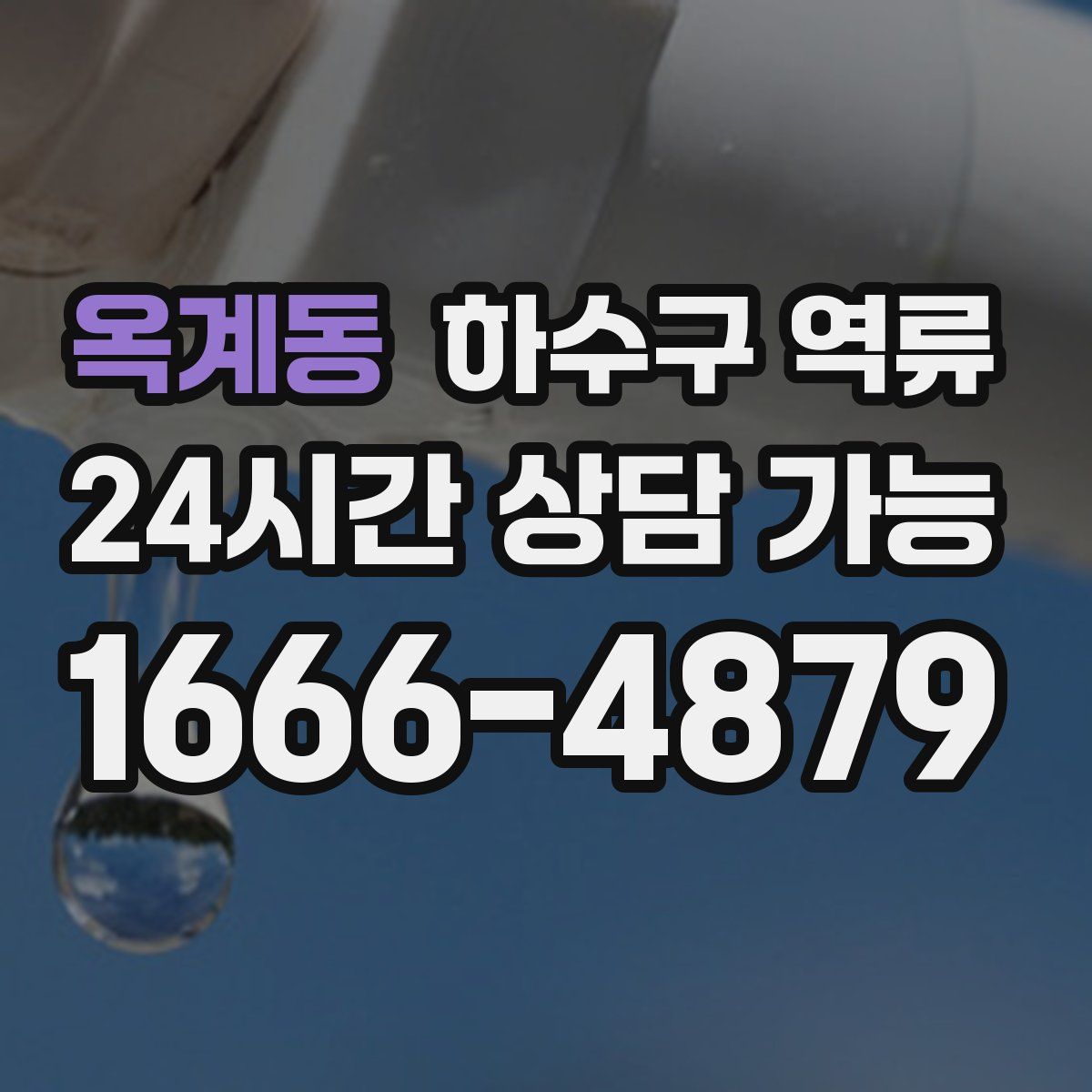 옥계동 하수구 역류