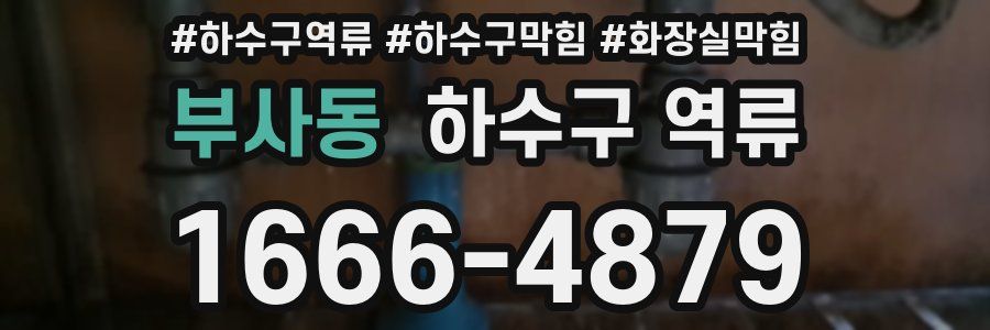 부사동 하수구 역류